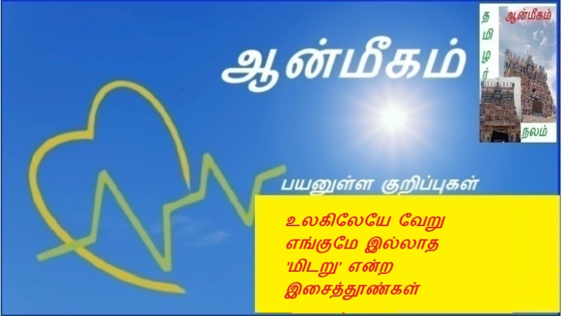 உலகிலேயே வேறு எங்குமே இல்லாத 'மிடறு' என்ற இசைத்தூண்கள்