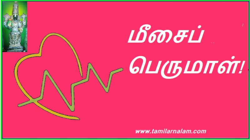 மீசைப் பெருமாள்!