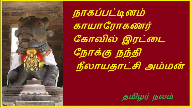 நாகப்பட்டினம் காயாரோகணர் கோவில் இரட்டை நோக்கு நந்தி | Nagapattinam Gayaroganar Temple is a double oriented Nandi
