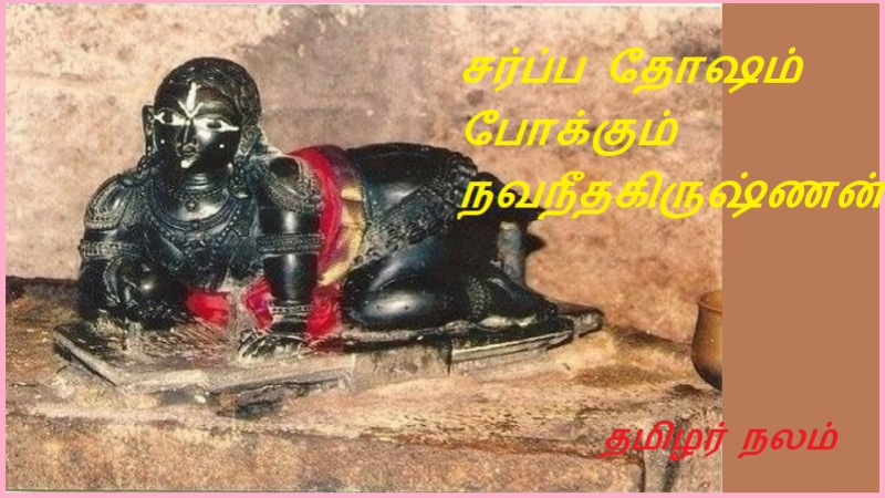 சர்ப்ப தோஷம் போக்கும் நவநீதகிருஷ்ணன் | Navaneethakrishnan, who removes the snake dosha