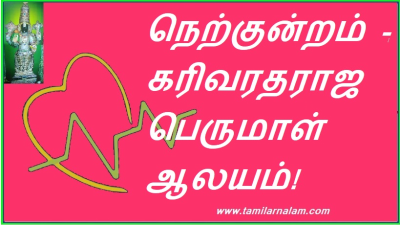 நெற்குன்றம் - கரிவரதராஜ பெருமாள் ஆலயம்! | Nelkundram - Karivaradharaja Perumal Temple!