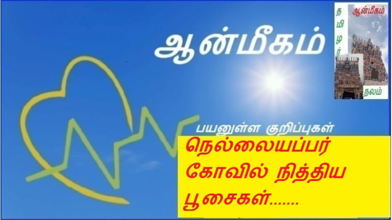 நெல்லையப்பர் கோவில் நித்திய பூசைகள்.......
