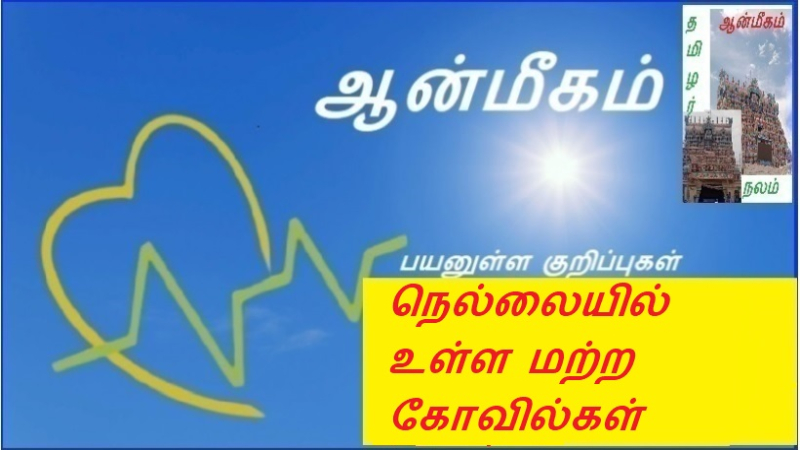 நெல்லையில் உள்ள மற்ற கோவில்கள்