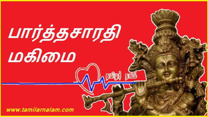 பார்த்தசாரதி மகிமை