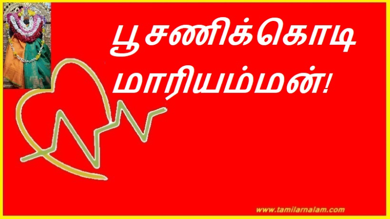 பூசணிக்கொடி மாரியம்மன்!