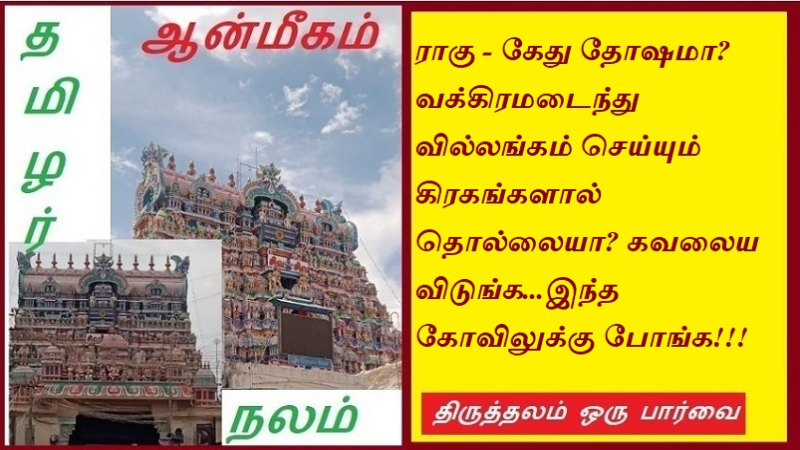ராகு - கேது தோஷமா வக்கிரமடைந்து வில்லங்கம் செய்யும் கிரகங்களால் தொல்லையா கவலைய விடுங்க இந்த கோவிலுக்கு போங்க | Rahu - Ketu Dosha Troubled by perverting planets  Don't worry go to this temple