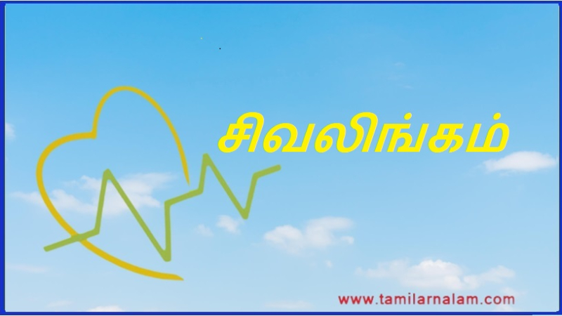 சிவலிங்கம் | Shiv Lingam