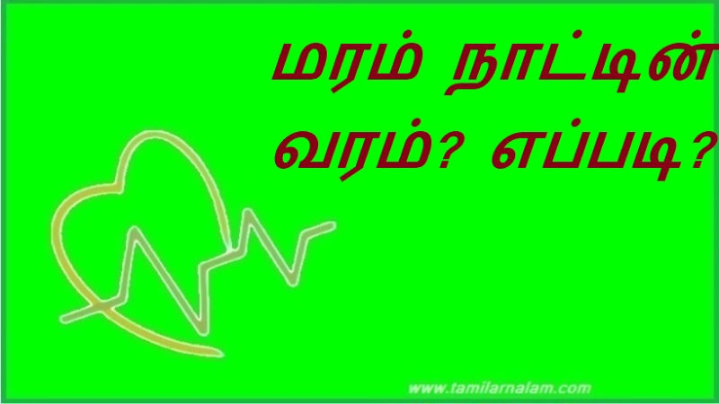 மரம் நாட்டின் வரம்? எப்படி? | Tree is the country's boon? How?