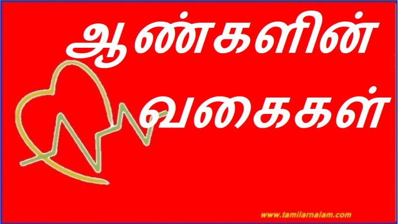 ஆண்களின் வகைகள்