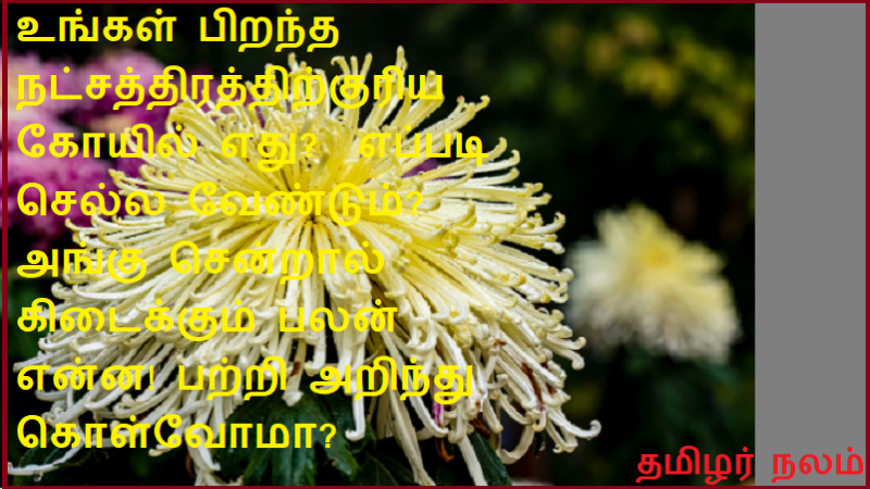 உங்கள் பிறந்த நட்சத்திரத்திற்குரிய கோயில் எது  எப்படி செல்ல வேண்டும்  அங்கு சென்றால் கிடைக்கும் பலன் என்ன 