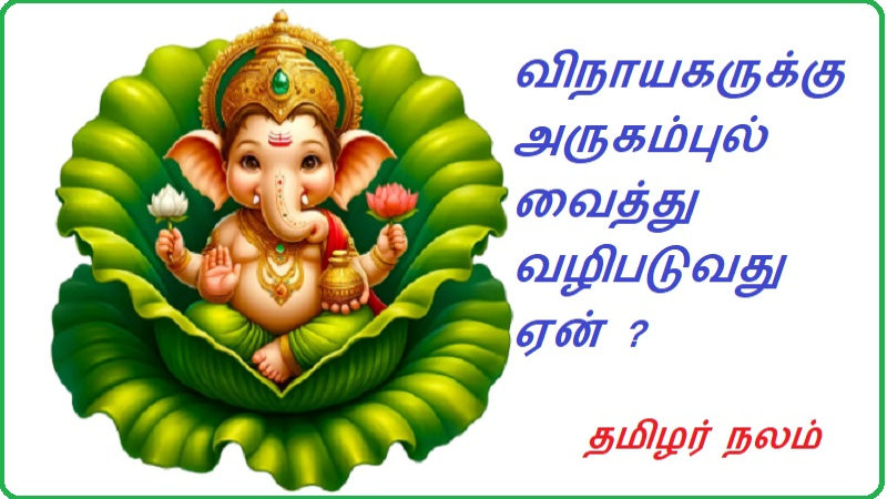 விநாயகருக்கு அருகம்புல் வைத்து வழிபடுவது ஏன்