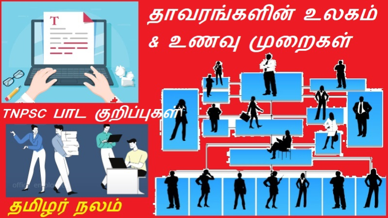 தாவரங்களின் உலகம் & உணவு முறைகள்