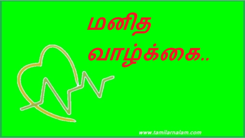 மனித வாழ்க்கை.. | human life