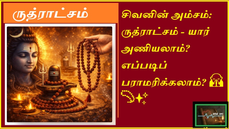 ருத்ராட்சம் யார் அணியலாம்? அதன் நன்மைகள் மற்றும் பராமரிப்பு முறைகள்! | Tamilarnalam