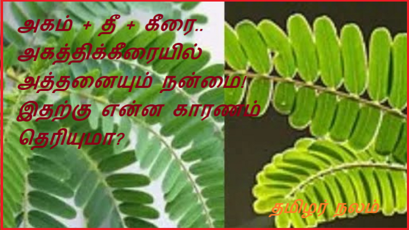 கீரைகள் - பயன்கள்