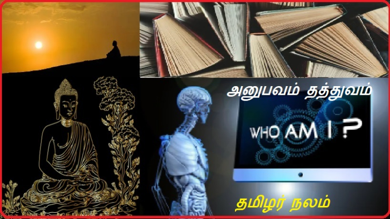 அனுபவம் தத்துவம்