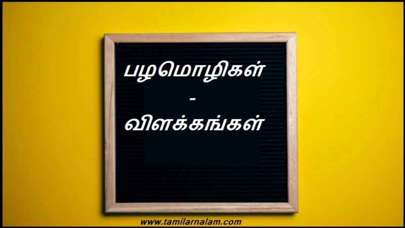 பழமொழிகள் – விளக்கங்கள்