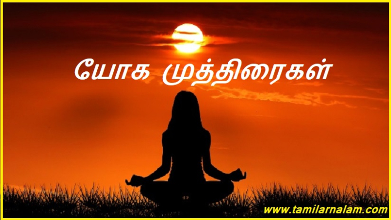 யோக முத்திரைகள்